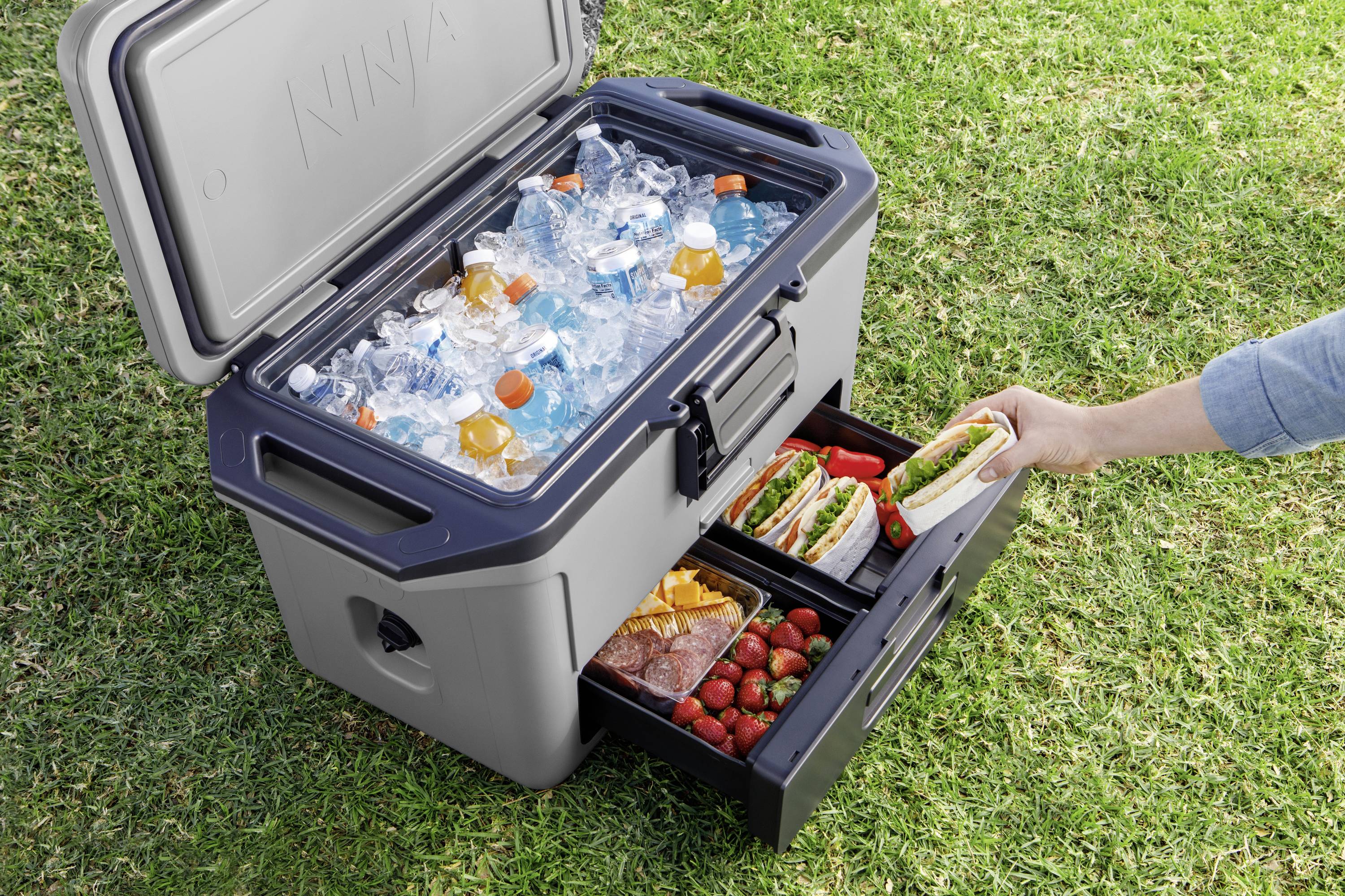 Ninja FrostVault Kühlbox Passiv Grau, Schwarz 47 l