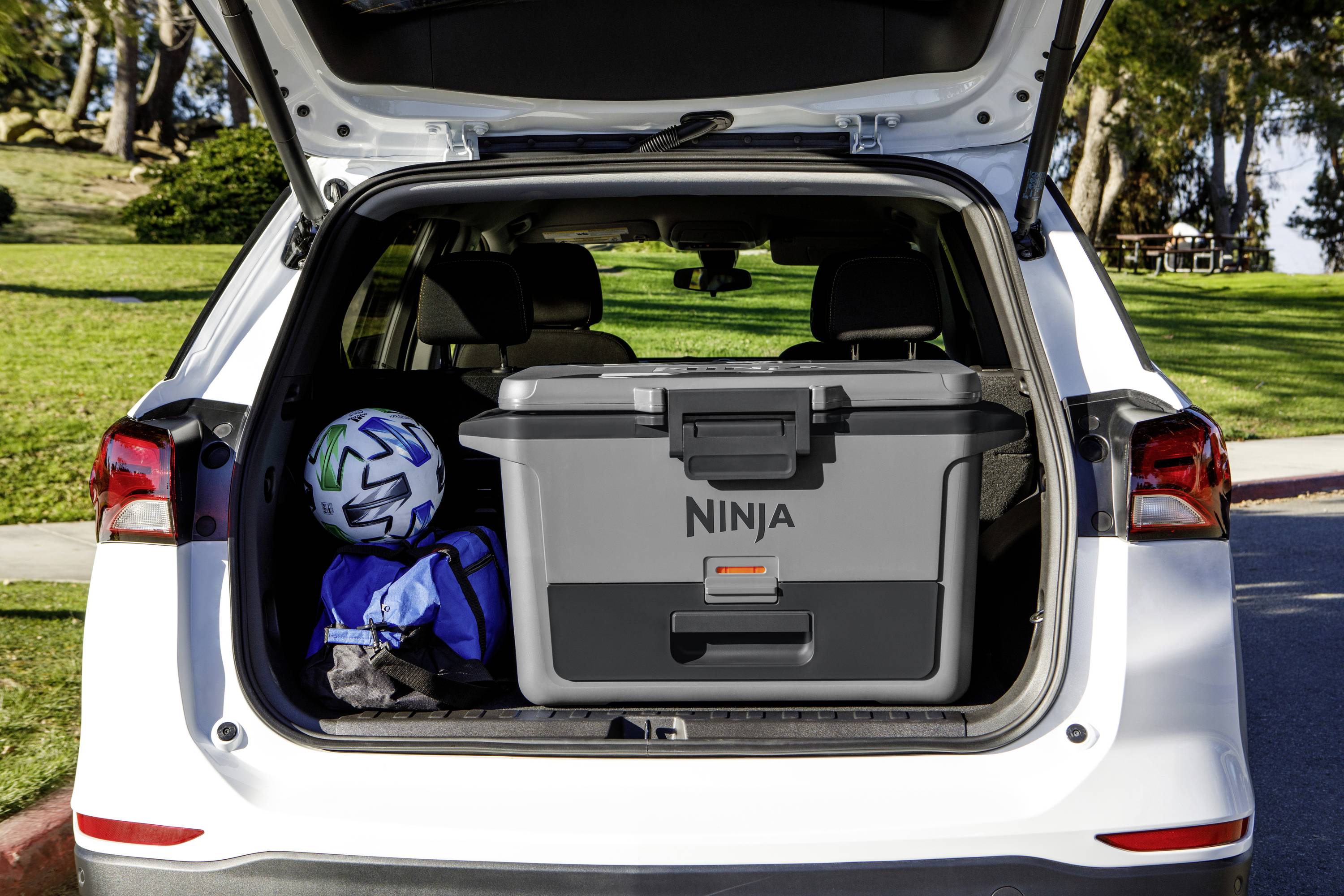 Ninja FrostVault Kühlbox Passiv Grau, Schwarz 47 l