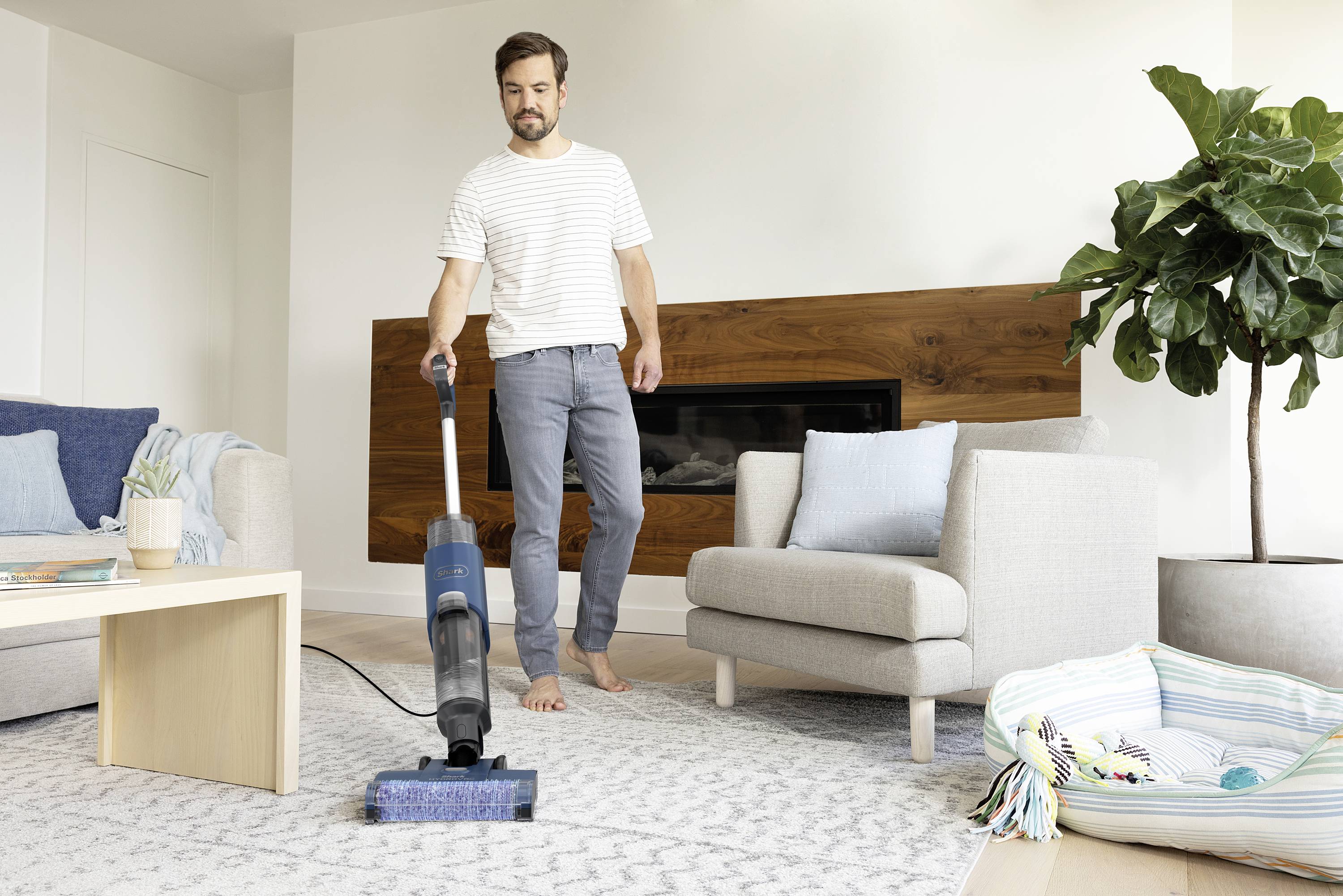 Shark Hydrovac WD100EU Nass-/Trockensauger 0.5 l Standfunktion, herausnehmbarer Wassertank