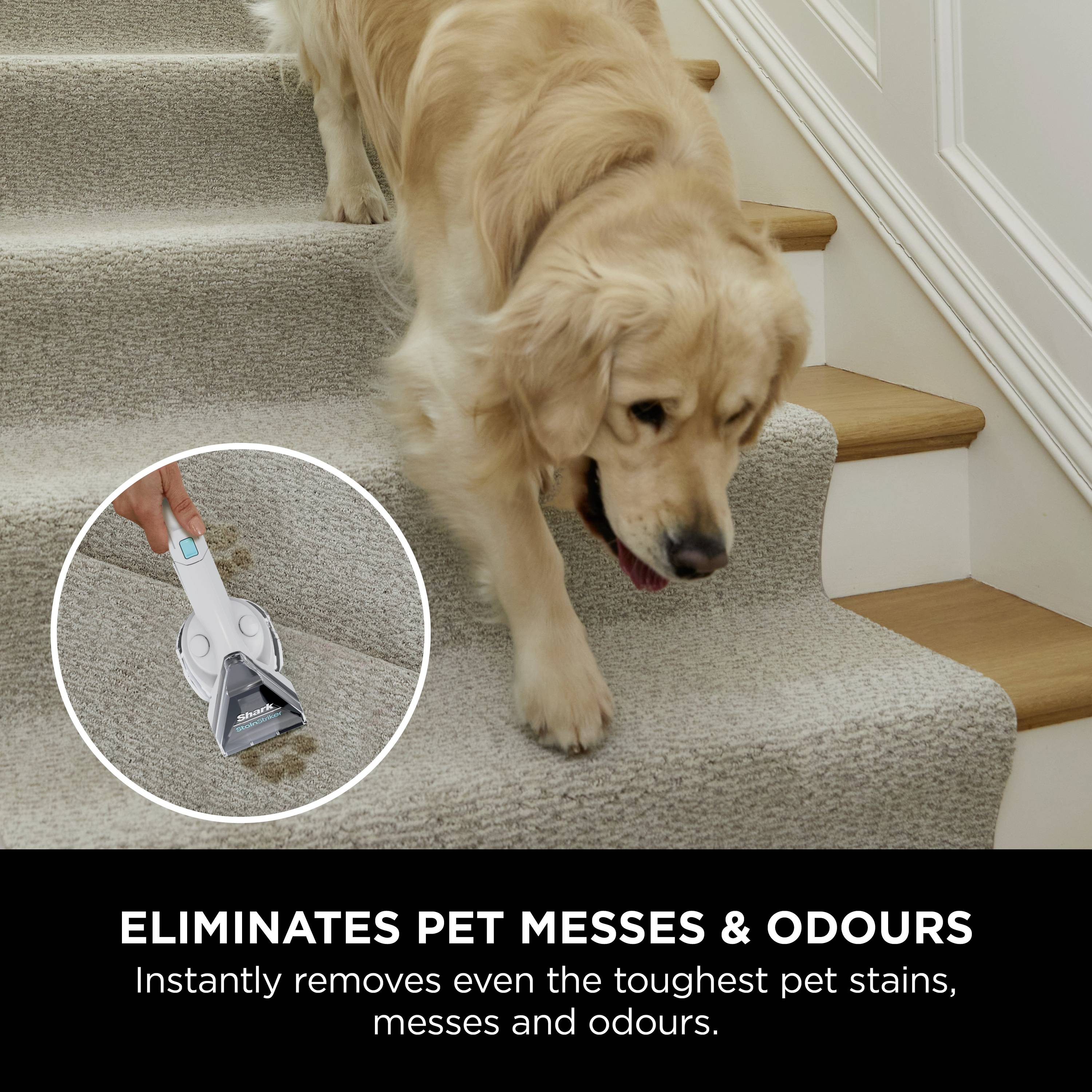 Shark StainStriker PX200EUT Nass-/Trockensauger 450 W 1.25 l