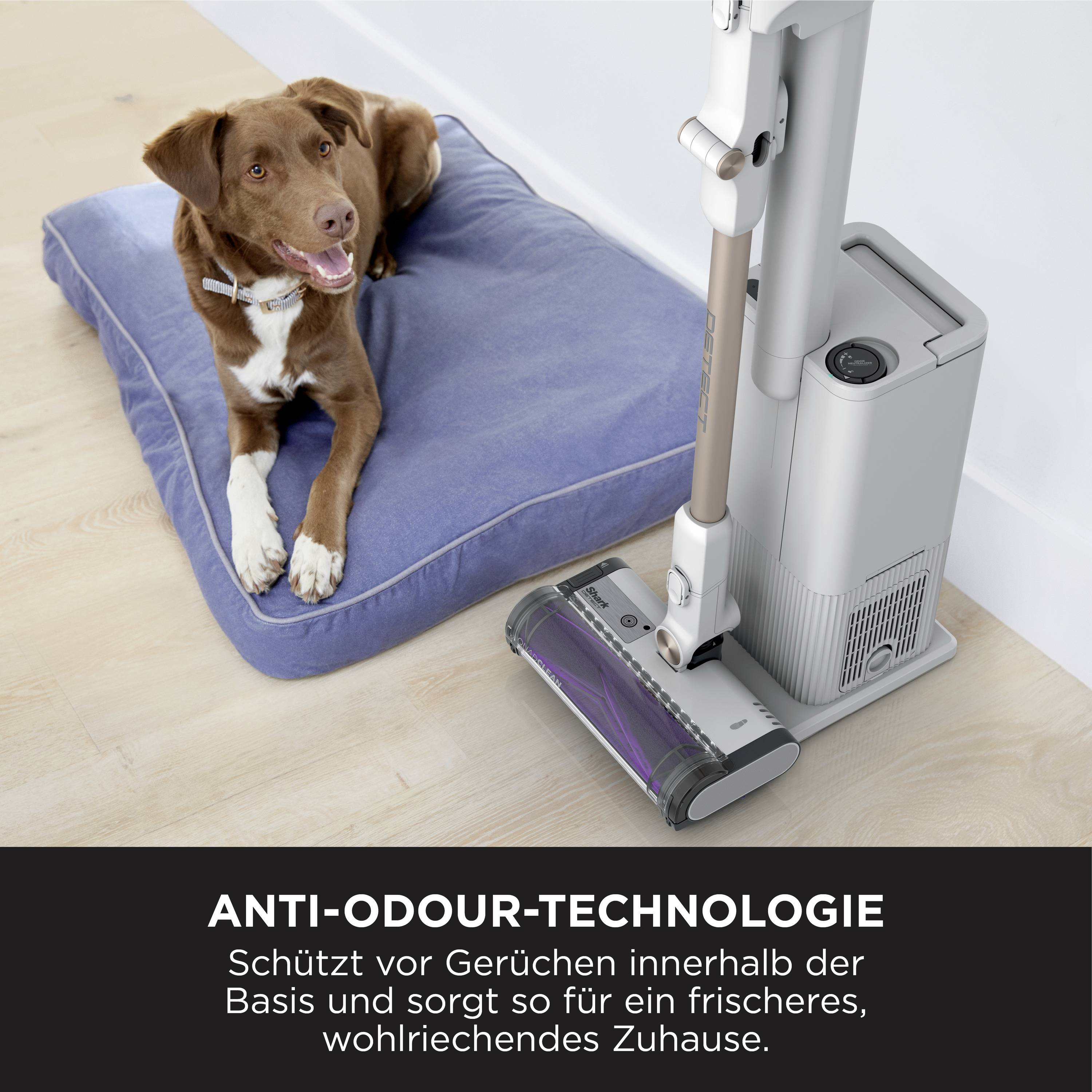 Shark Detect Akku-Handstaubsauger