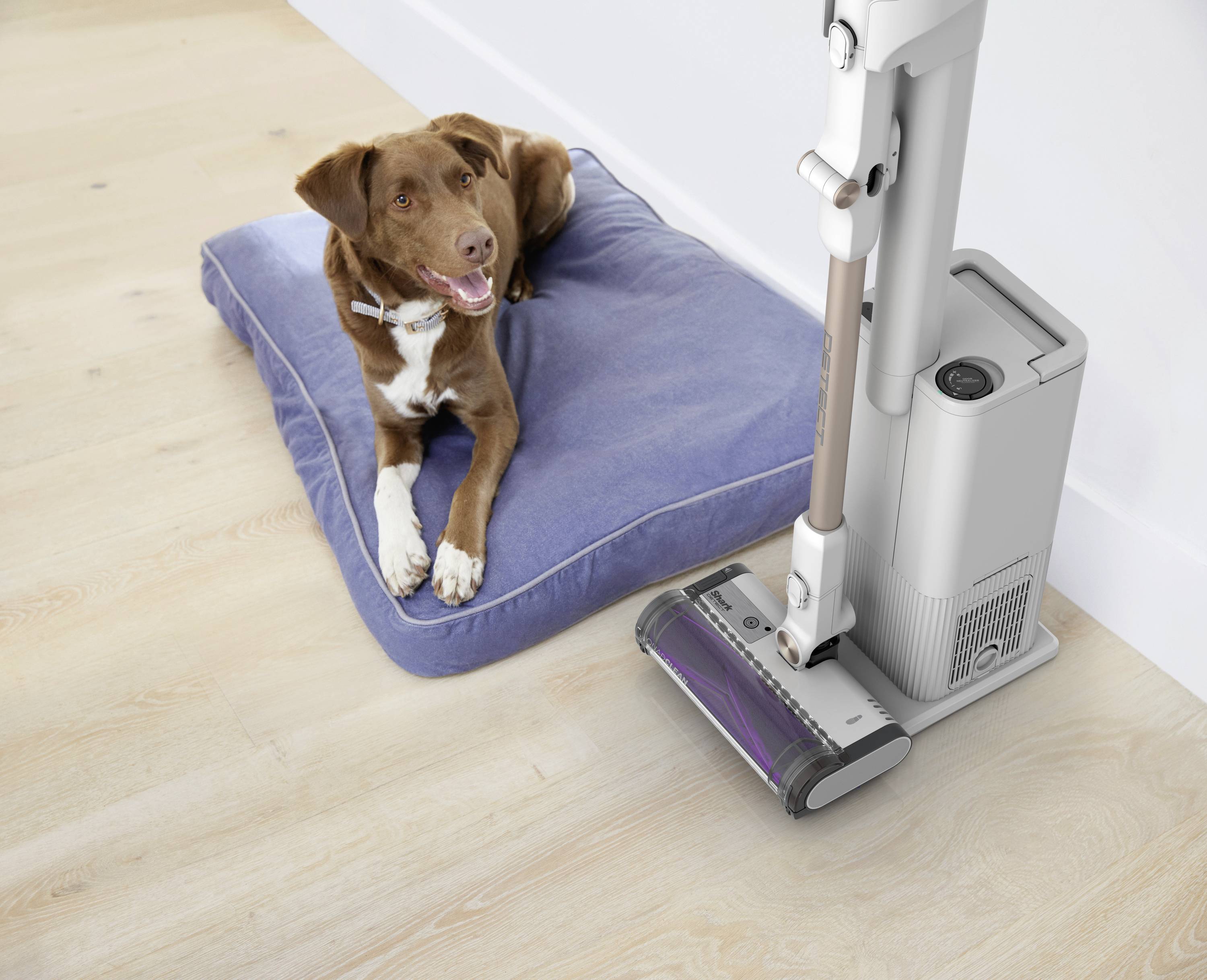 Shark Detect Akku-Handstaubsauger