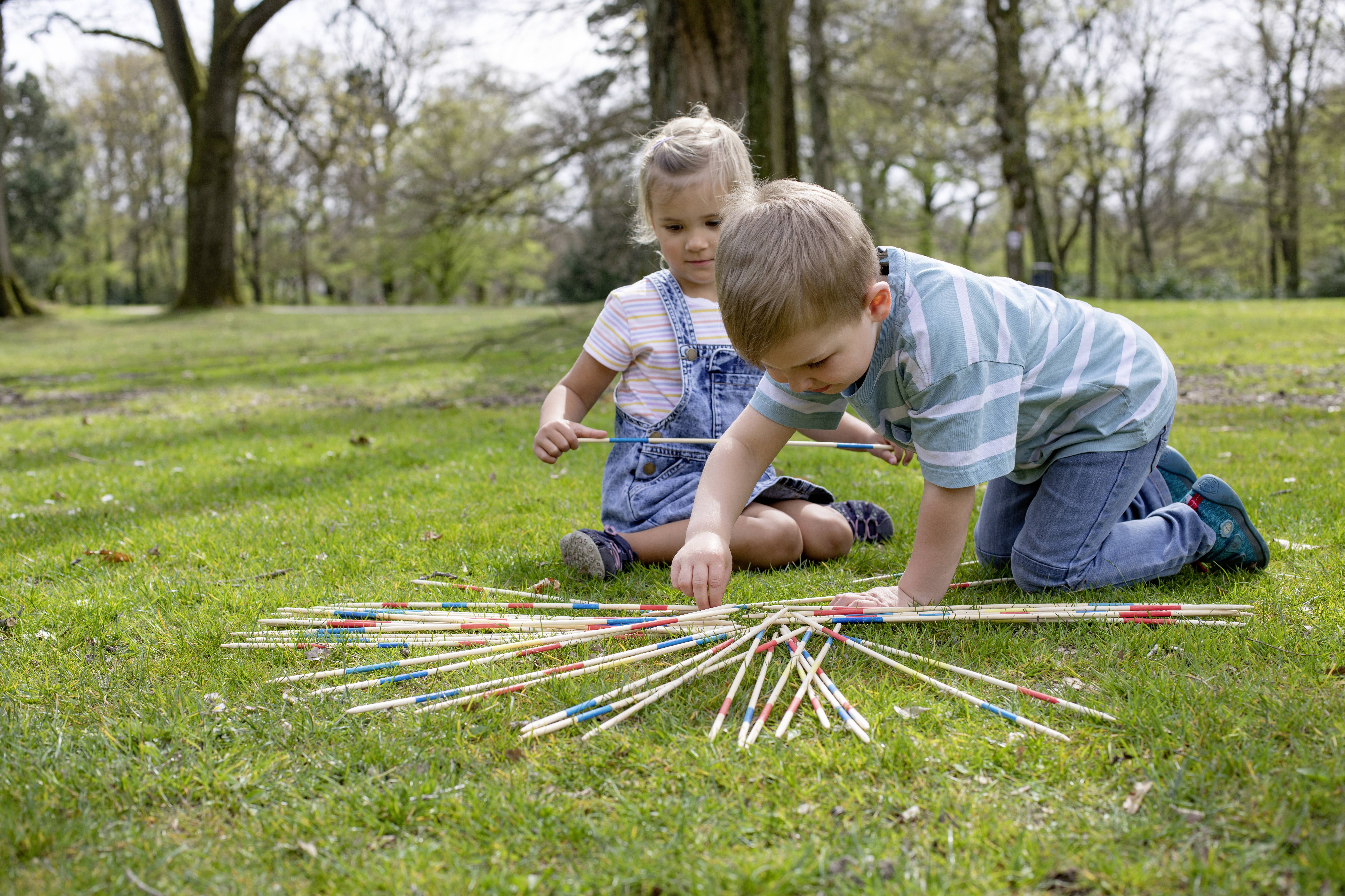 Eichhorn Mikado 100004591 Anzahl Spieler (max.): 4