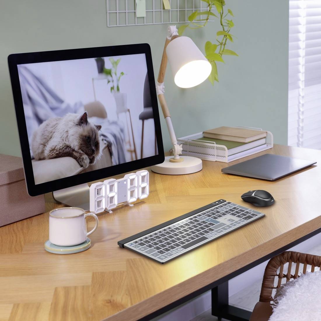 Ein Schreibtisch mit einem Computerbildschirm, auf dem eine Katze angezeigt wird. Daneben stehen eine Lampe, eine Tasse und eine Tastatur.