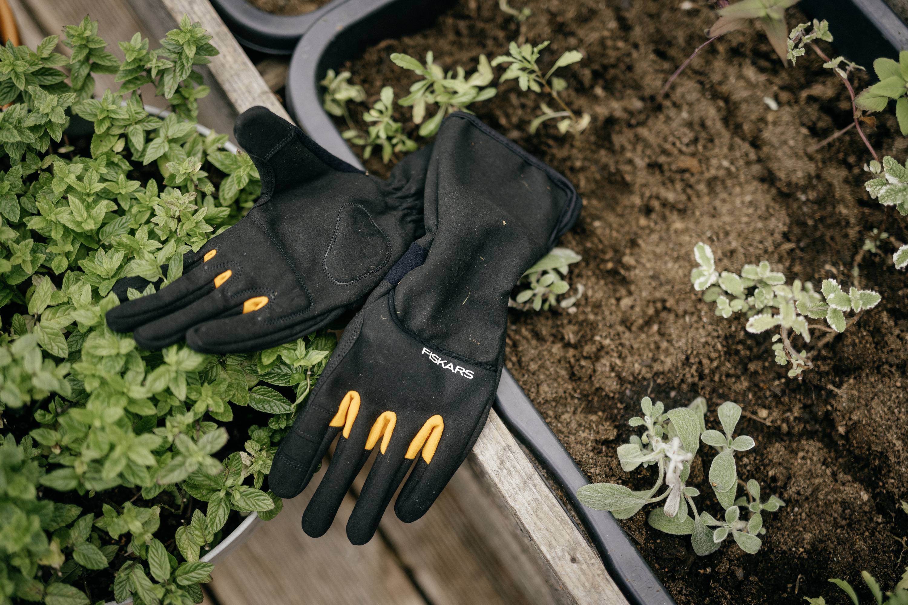 Schwarze Gartenhandschuhe mit orangefarbenen Spitzen liegen neben grünen Pflanzen und Erde in einem Pflanzkasten.