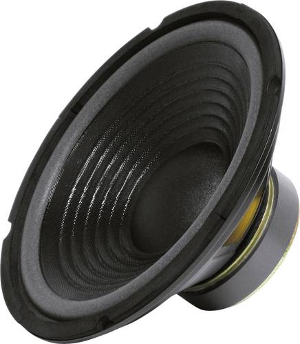 Sintron 203376 25 cm PA-Subwoofer 200 W 8 Ω