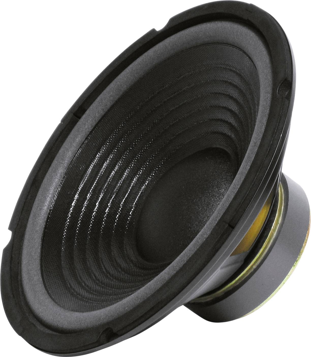 Sintron 203376 25 cm PA-Subwoofer 200 W 8 Ω