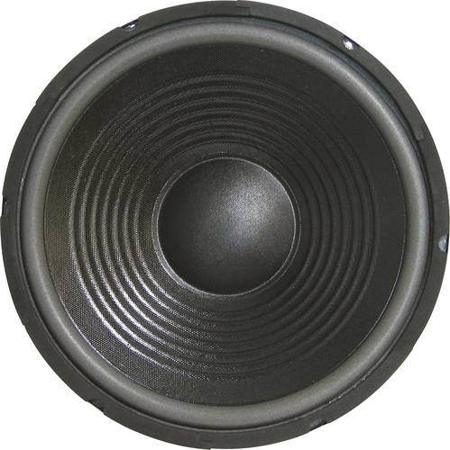Sintron 203377 30 cm PA-Subwoofer 300 W 8 Ω
