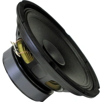Sintron 203781 25cm Breitbänder 100W 8Ω Schwarz Sintron 203781 25cm Breitbänder 100W 8Ω Schwarz