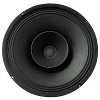 Sintron 203781 25cm Breitbänder 100W 8Ω Schwarz Sintron 203781 25cm Breitbänder 100W 8Ω Schwarz