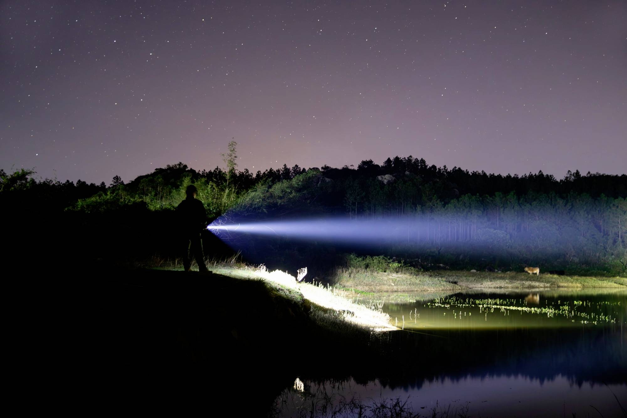 Eine Person steht nachts am Seeufer und leuchtet mit einer Taschenlampe auf das Wasser. Der Himmel ist sternenklar.