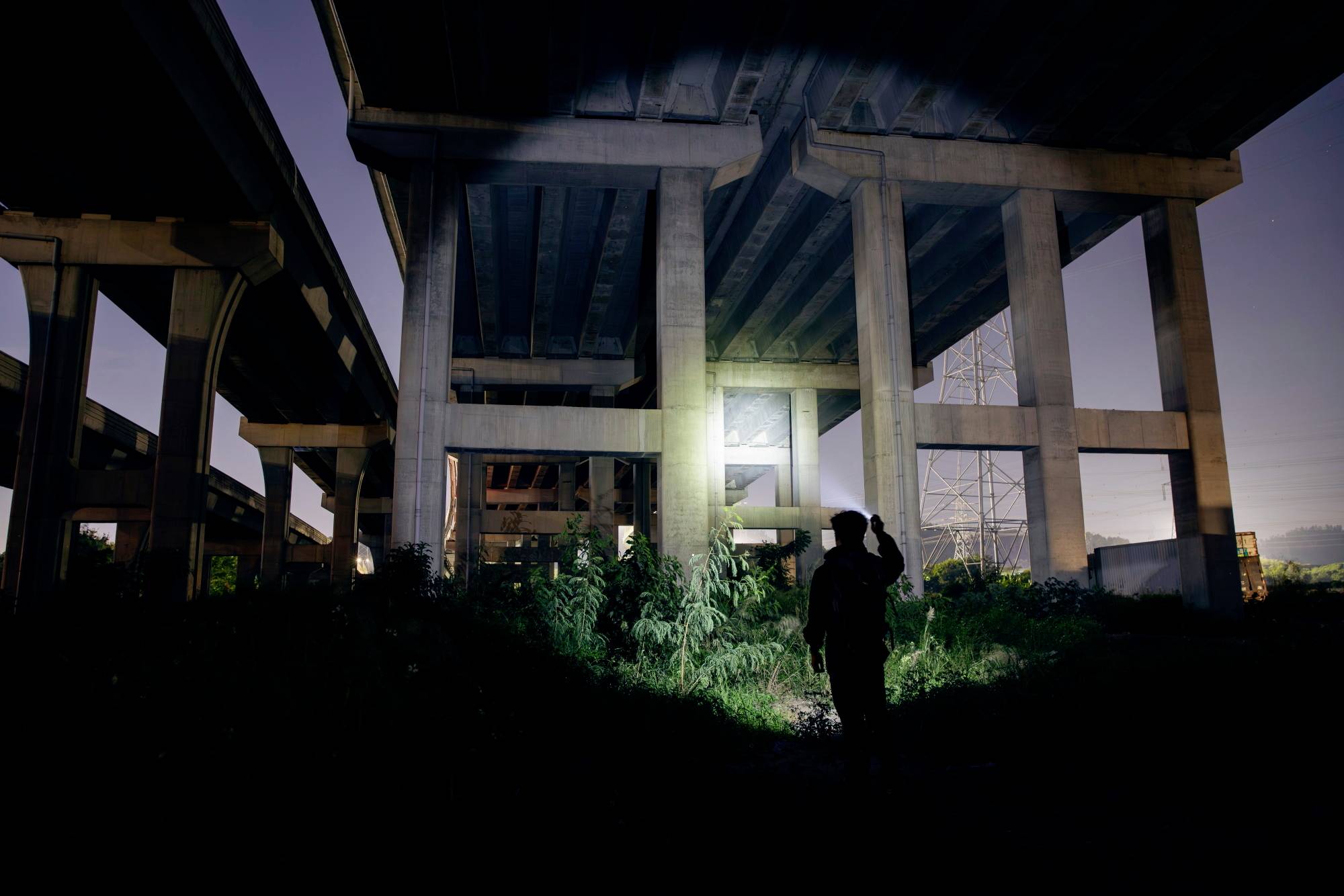 Person mit Taschenlampe unter einer Autobahnbrücke bei Nacht, von Betonpfeilern umgeben, beleuchtet Büsche im Vordergrund.