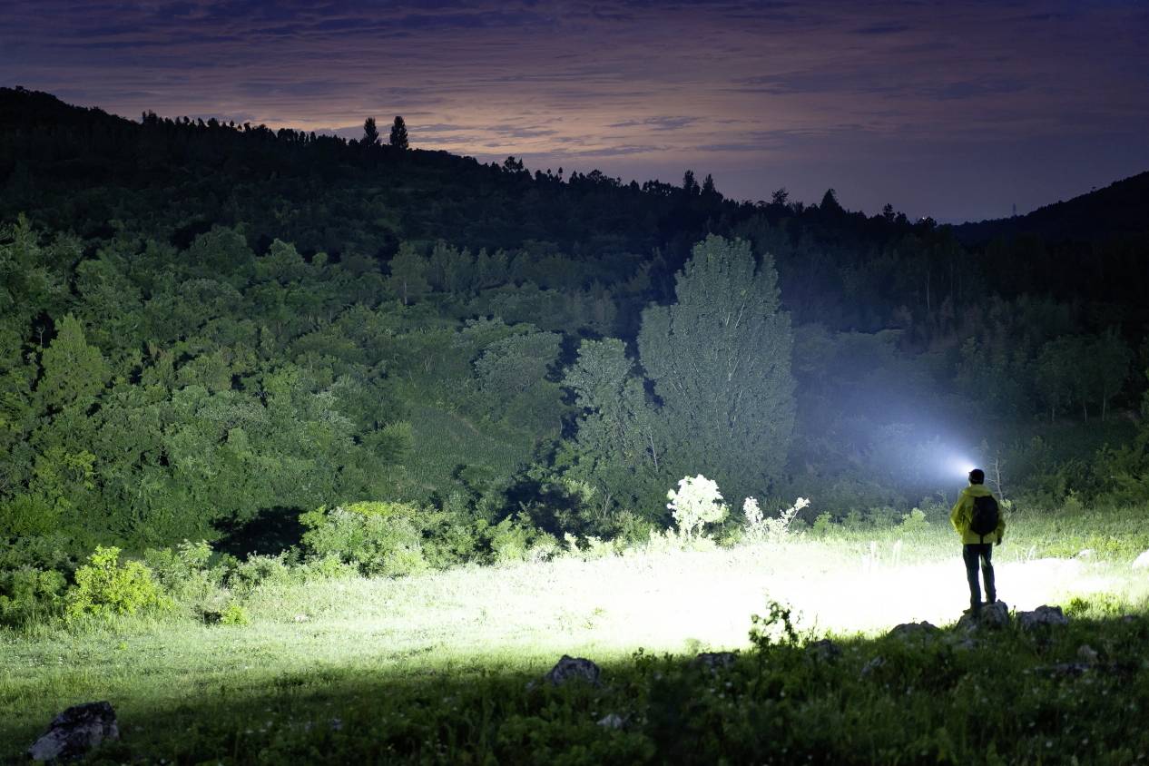 Eine Person beleuchtet nachts mit einer Taschenlampe eine Lichtung im Wald. Der Himmel im Hintergrund ist dunkelblau mit Wolken.