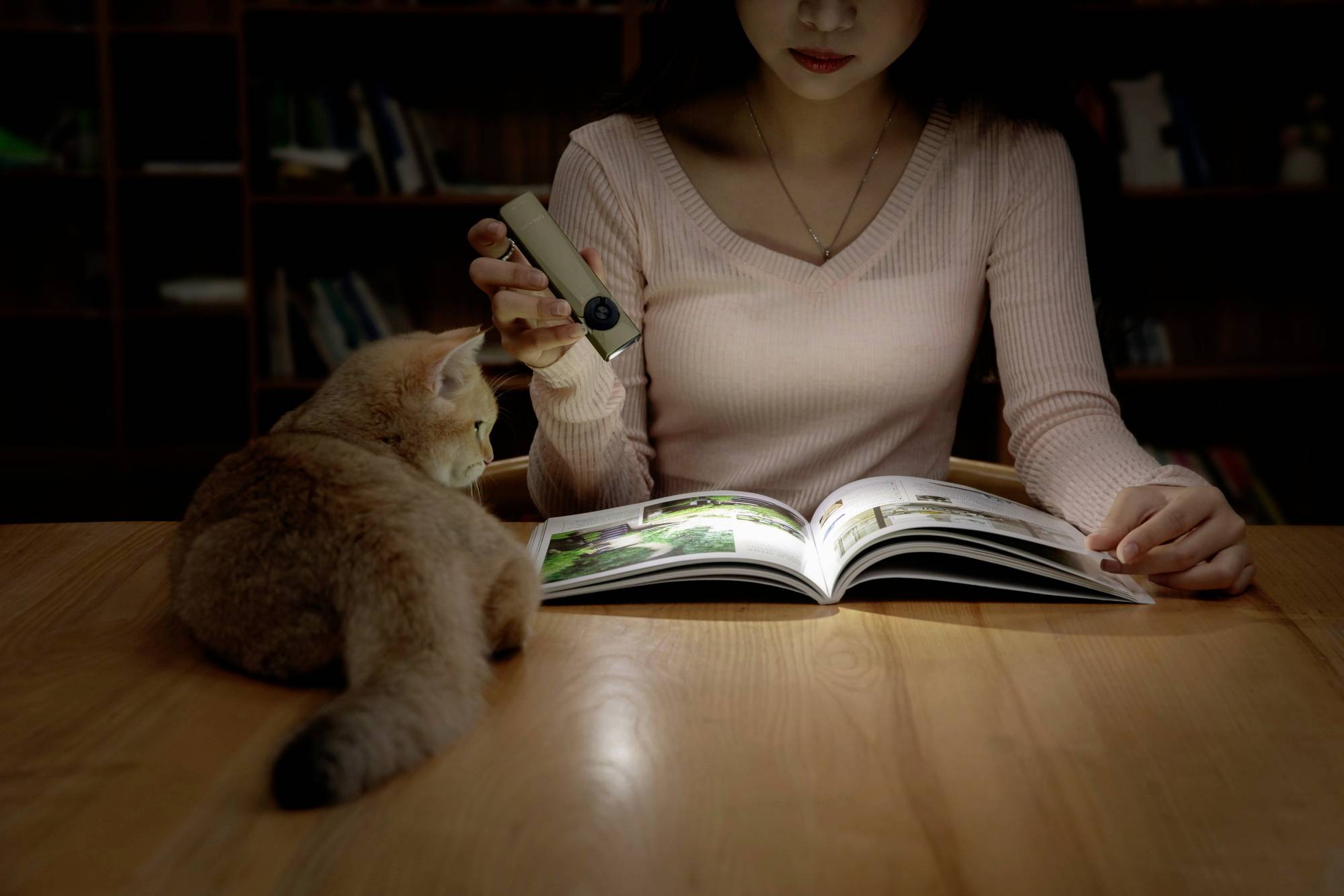 OLight Arkfeld Ultra Class 1 LED Taschenlampe akkubetrieben 1400lm 119g