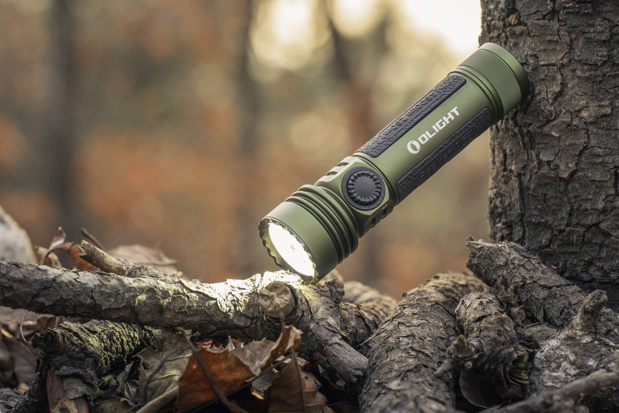Eine grüne Taschenlampe leuchtet auf trockene Blätter und Äste im Wald. Im Hintergrund ist unscharfes Herbstlaub zu sehen.