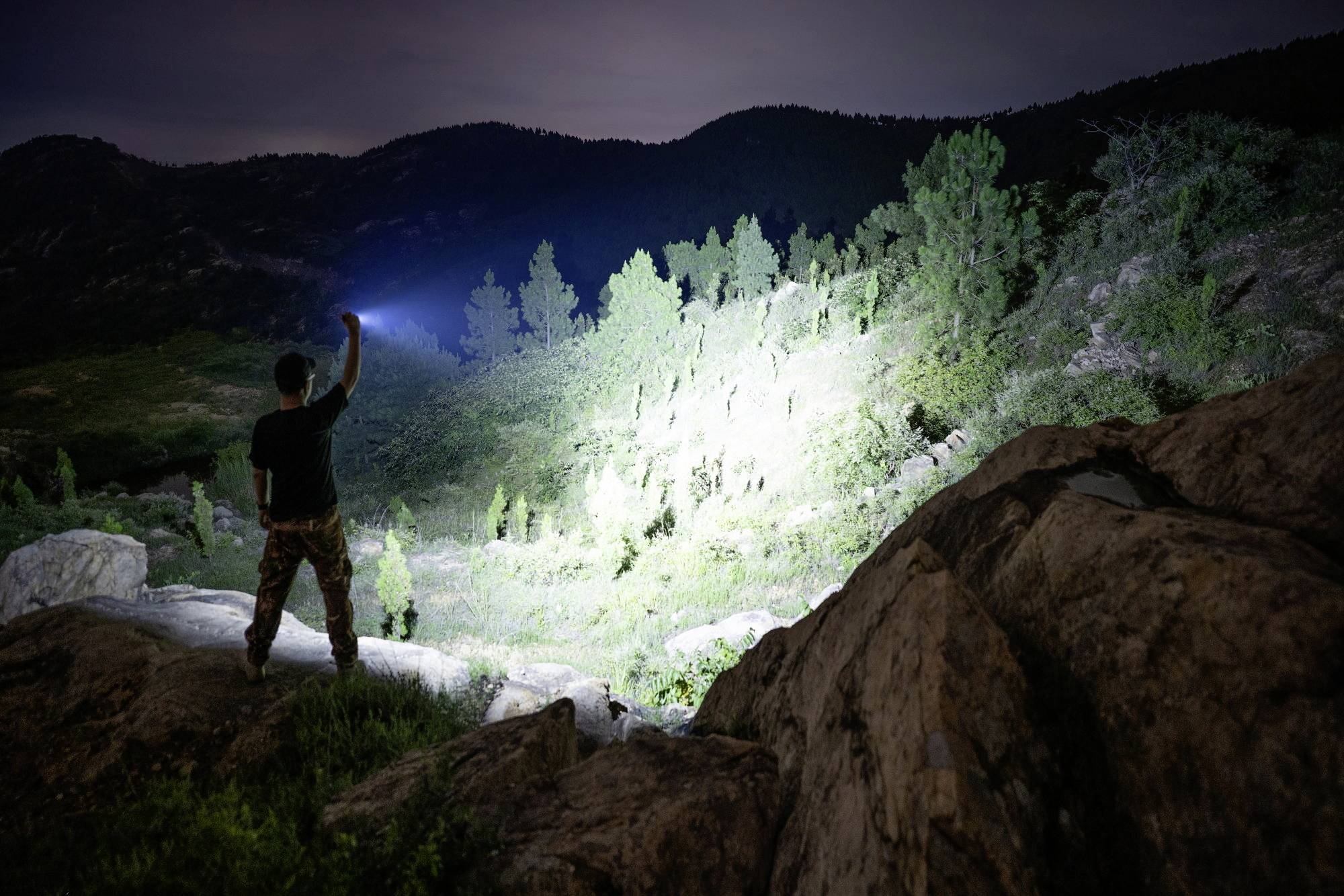 Eine Person steht nachts auf Felsen und leuchtet mit einer Taschenlampe in einen bewaldeten Hang, der von Bäumen umgeben ist.