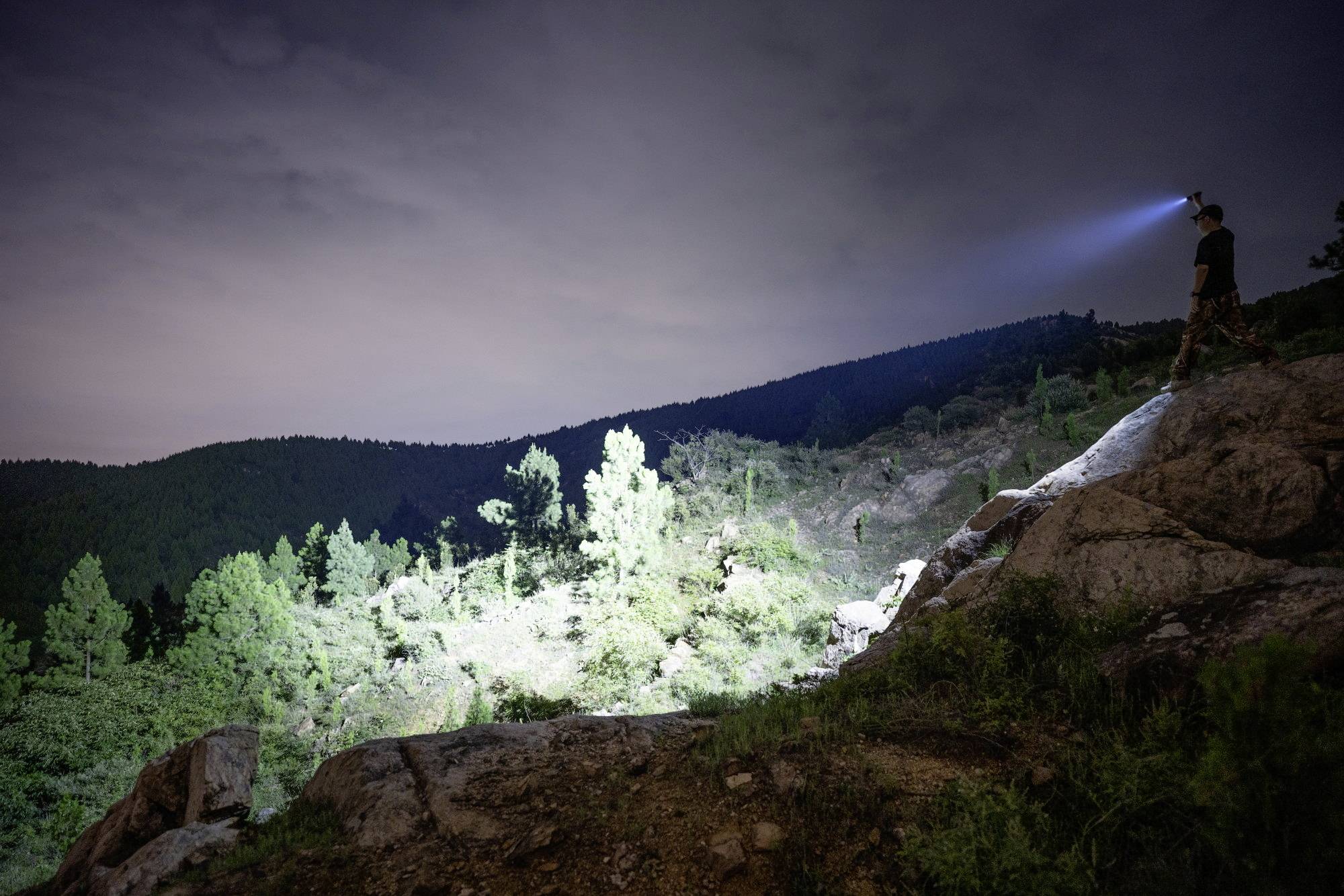 Eine Person beleuchtet mit einer Taschenlampe einen bewaldeten Hügel unter nächtlichem Himmel. Bäume und Felsen sind sichtbar.