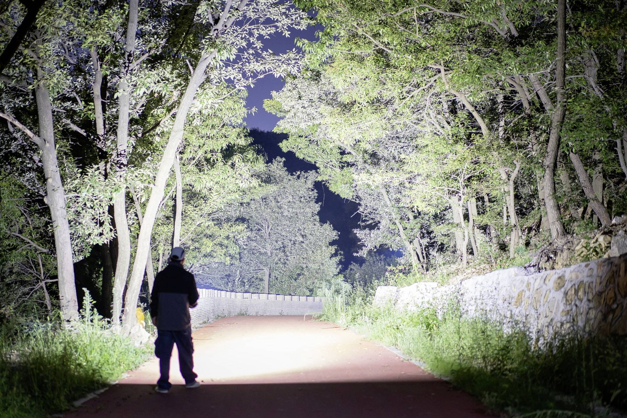 Eine Person steht nachts auf einem beleuchteten Waldweg, umgeben von hohen Bäumen und einer Steinmauer auf der rechten Seite.