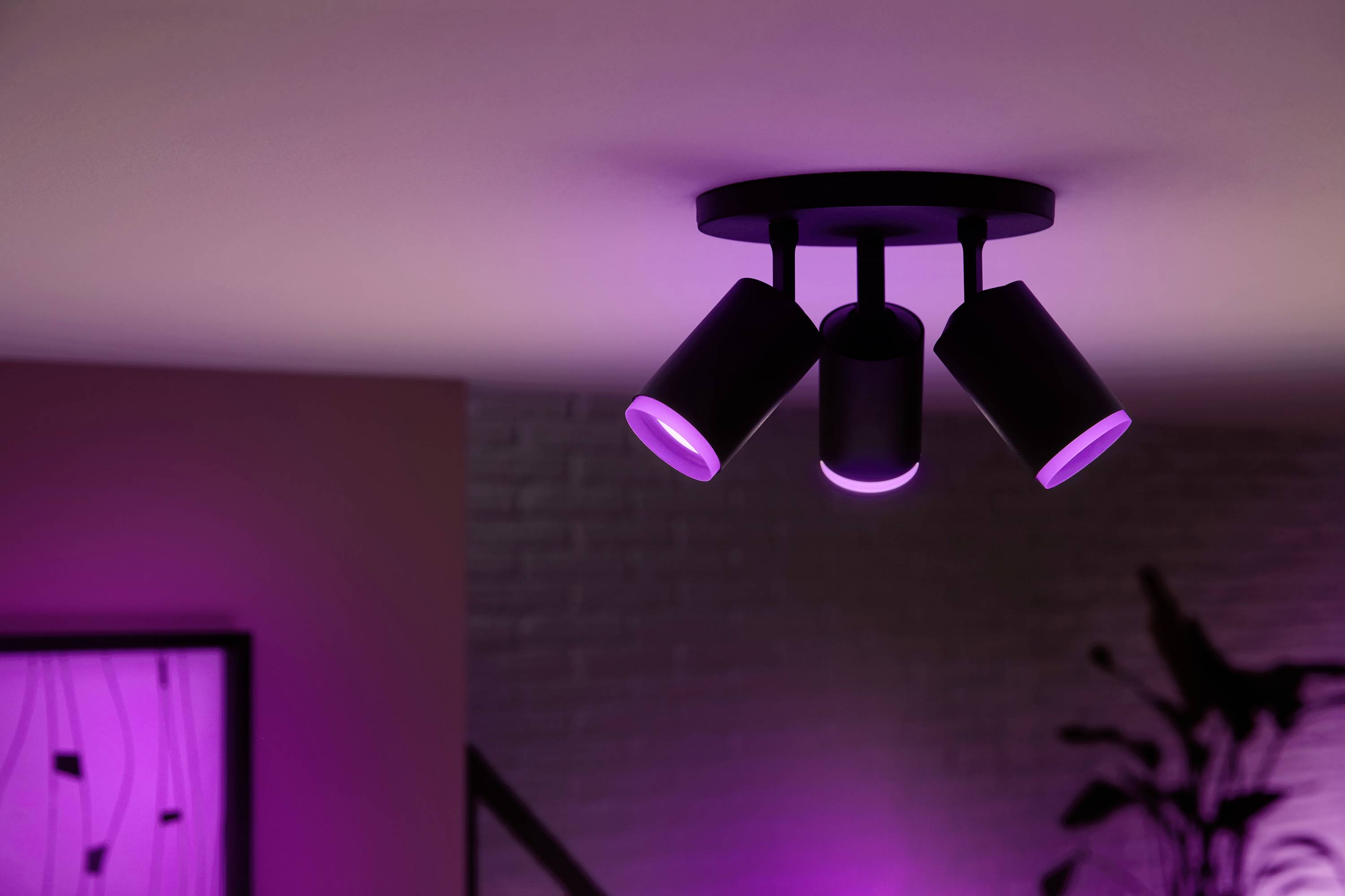 Eine moderne Deckenleuchte mit drei verstellbaren Spots strahlt violettes Licht aus, das einen Raum sanft beleuchtet.