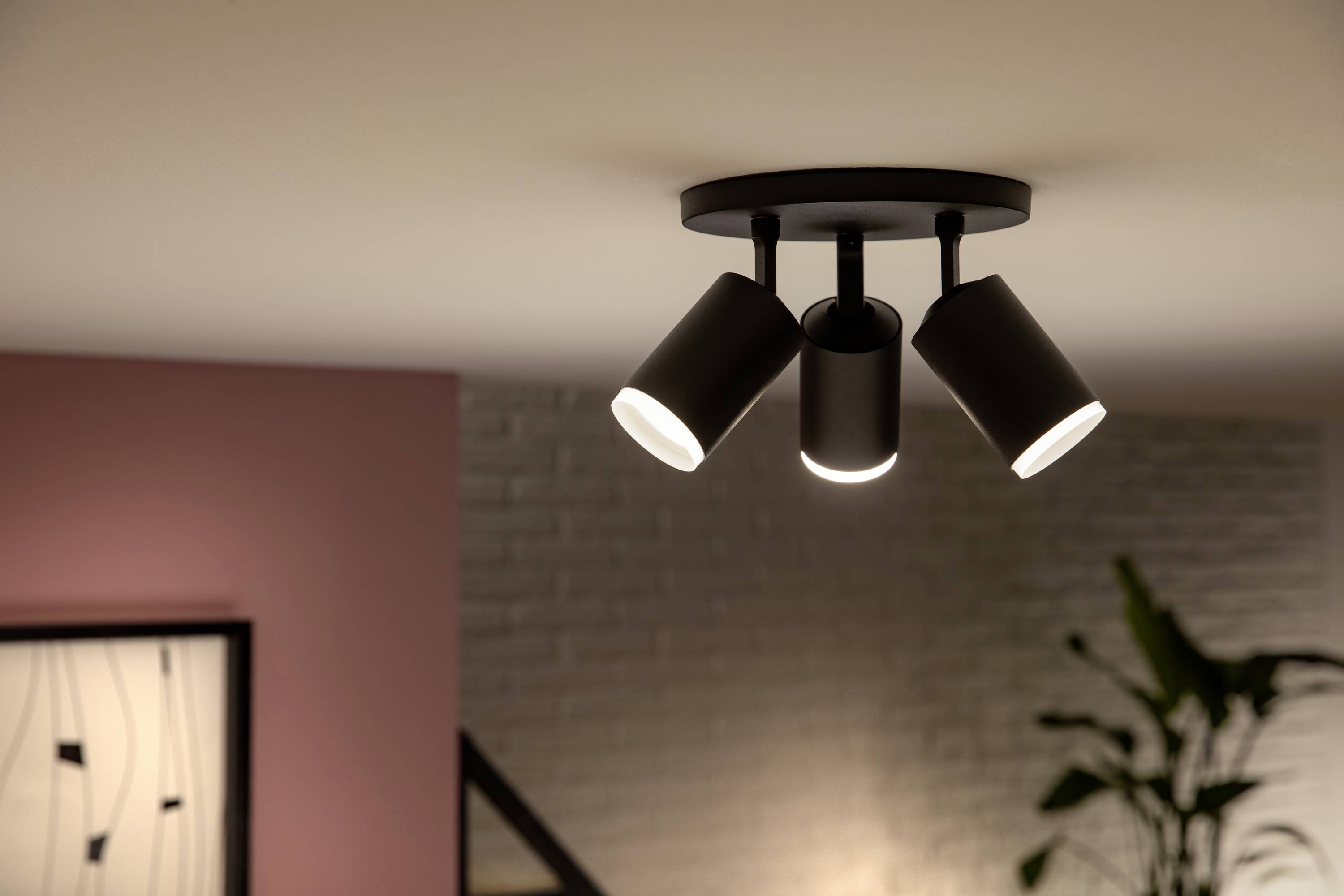 Drei Strahler-Deckenleuchte beleuchtet einen modern eingerichteten Raum mit rosa Wand und Zimmerpflanze, im Hintergrund.