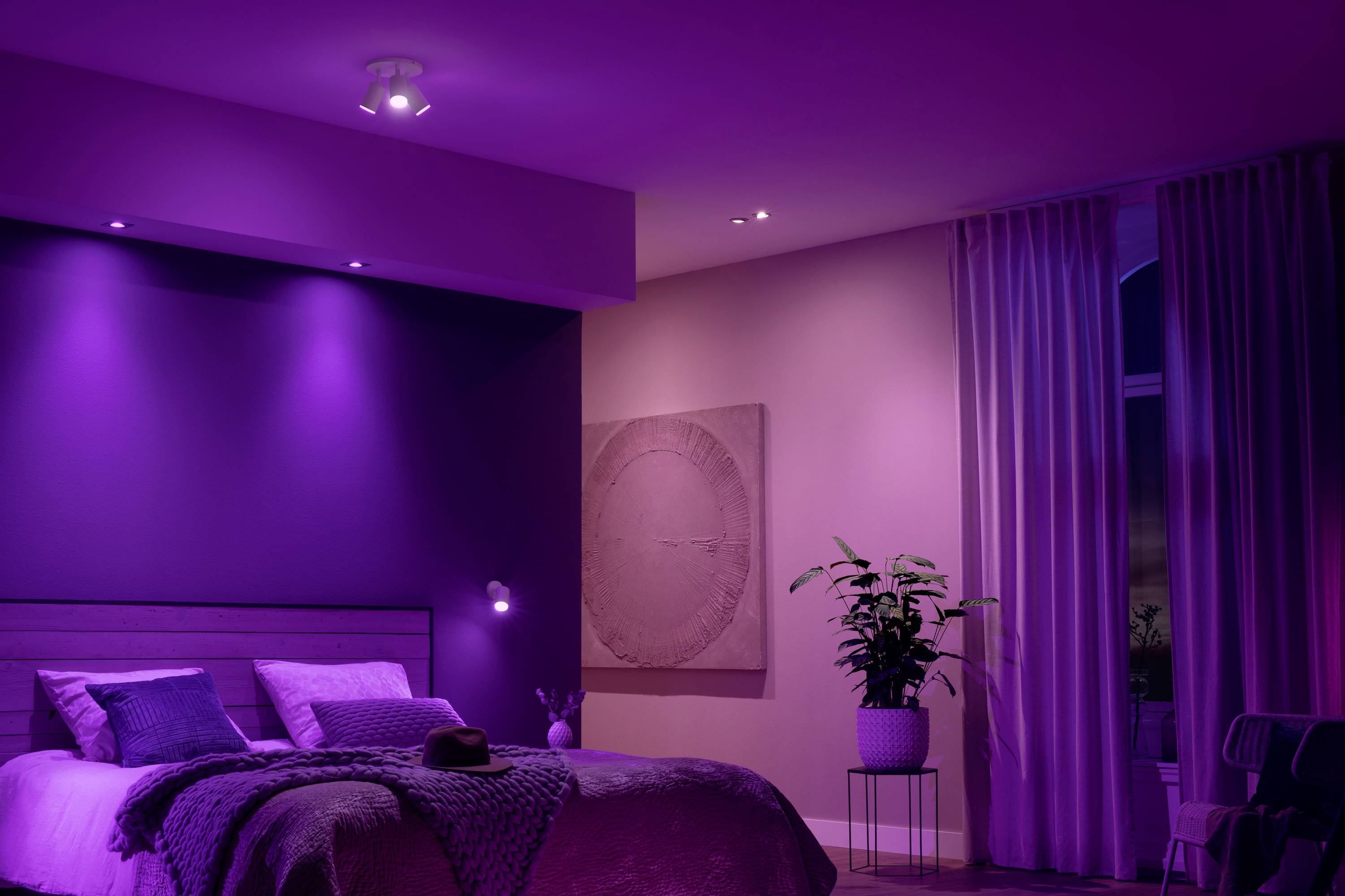 Ein Schlafzimmer mit stimmungsvoller violetter Beleuchtung zeigt ein Bett mit Kissen und Decken, ein Bild an der Wand und eine Pflanze.