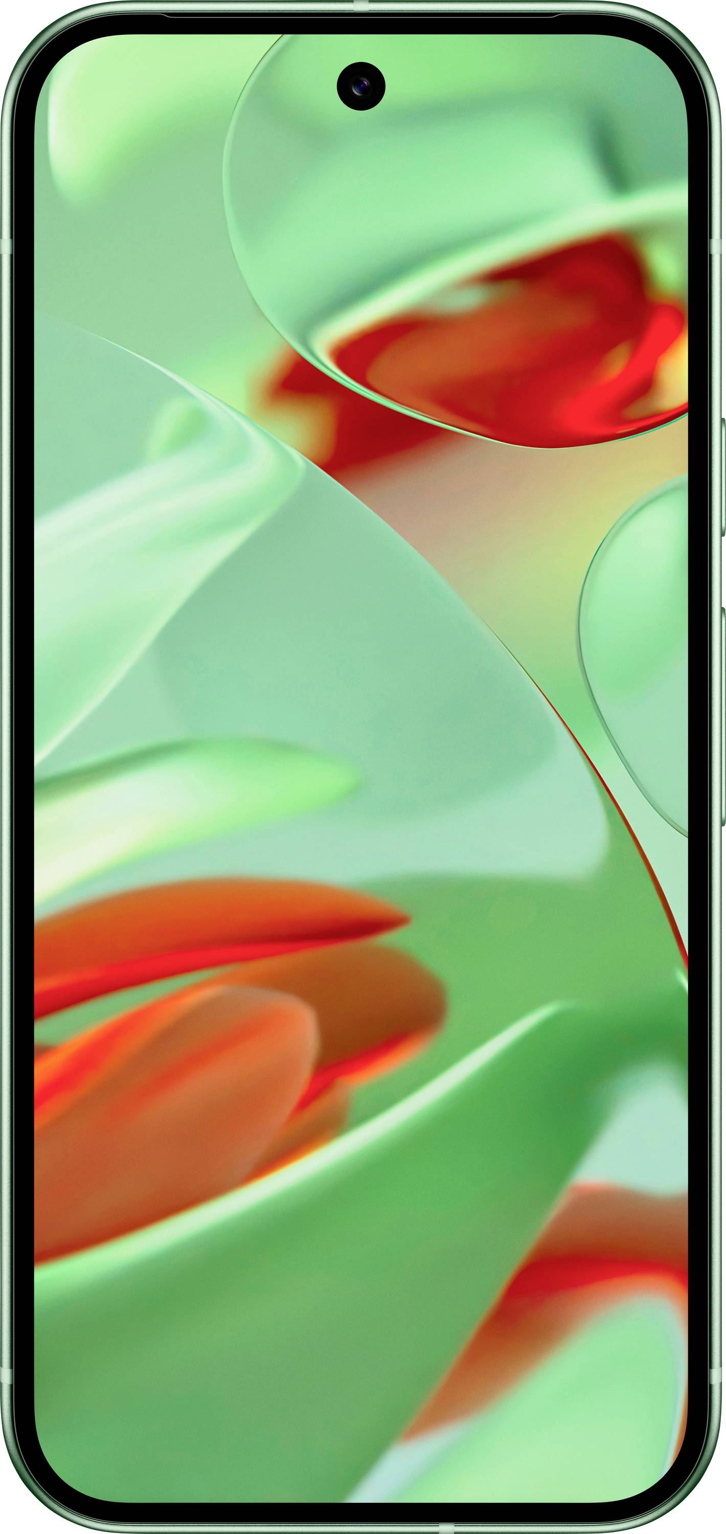 Google Pixel 9 128GB Wintergrün EEK A (A - G) 16cm (6.3 Zoll) Smartphone