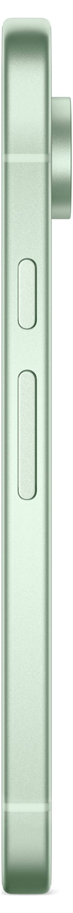 Google Pixel 9 128 GB Wintergrün EEK A (A - G) 16 cm (6.3 Zoll) Smartphone