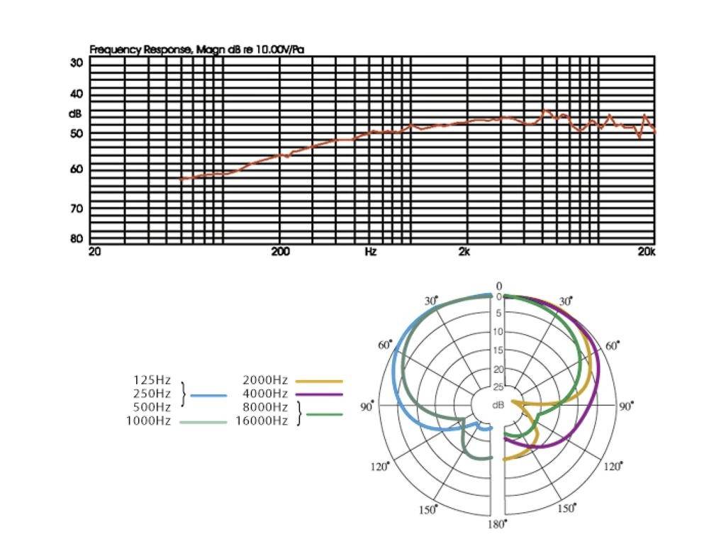 Frequenzgang und Richtcharakteristik eines Mikrofons: Oben zeigt ein Graph den Frequenzgang von 20 Hz bis 20 kHz; unten Polar-Diagramme bei verschiedenen Frequenzen.