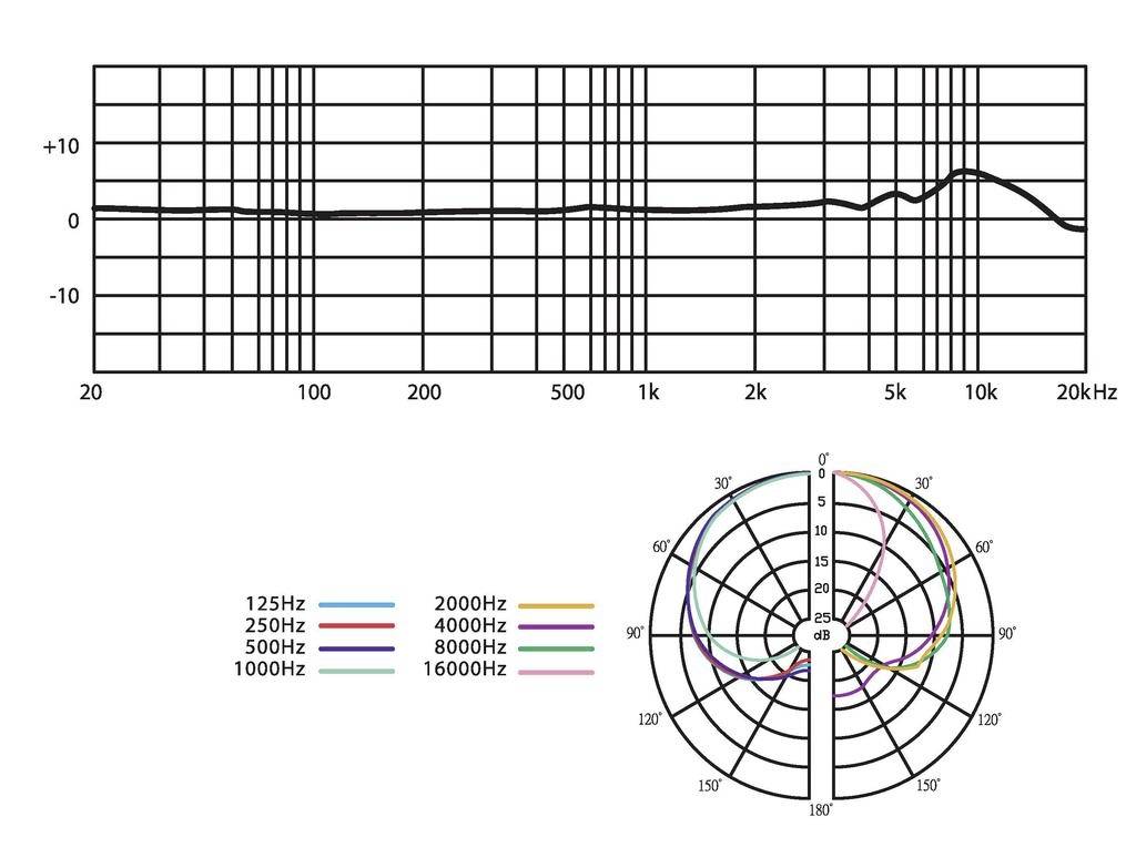 Diagramm der Frequenzgangkurve über 20 Hz bis 20 kHz mit dezenter Abweichung bei 5 kHz. Darunter Polargraphik für 125 Hz bis 16 kHz.