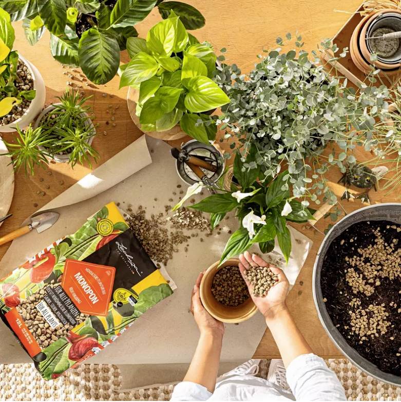 Lechuza 19549 LECHUZA-Pflanzsubstrat MONOPON 6 Liter 1St.