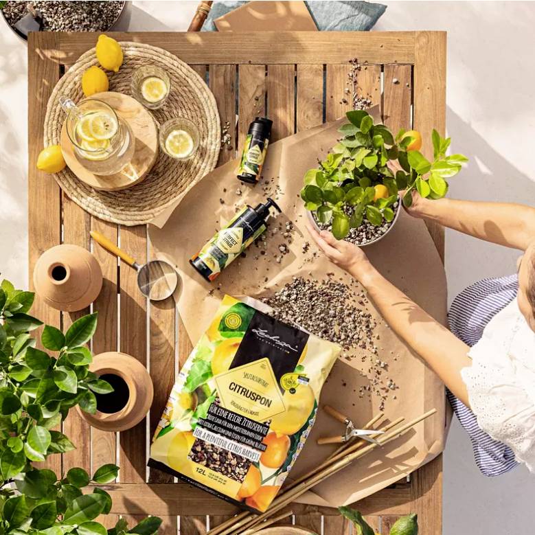 Lechuza 19632 Dünger Perfect Citrus 150g 1St.