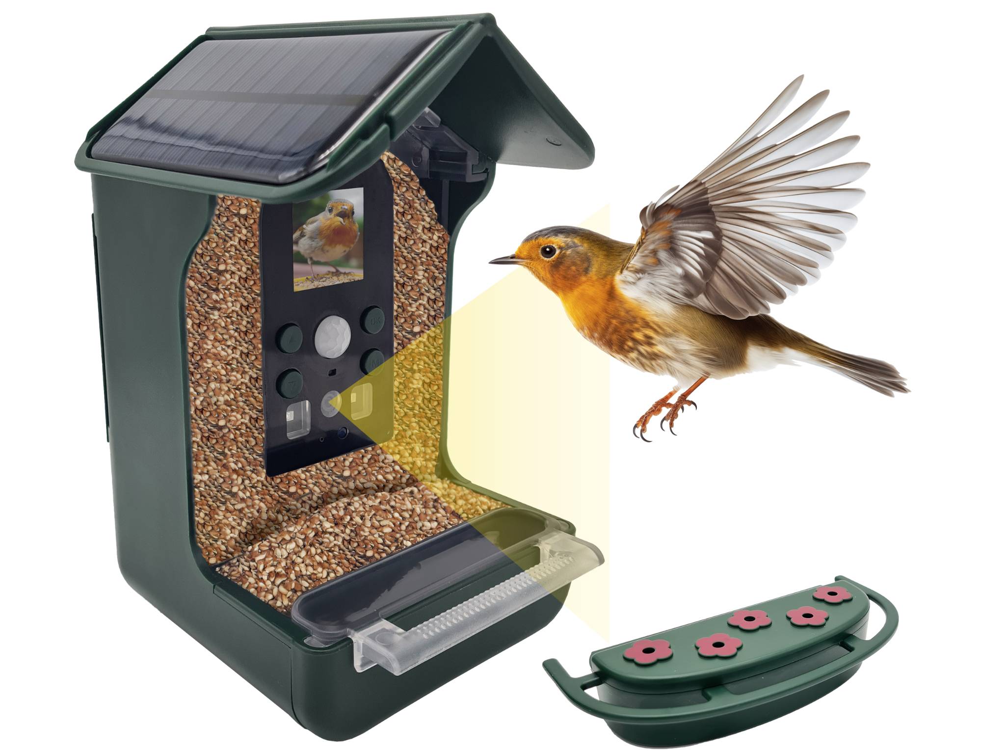 Futterstation mit Kamera und Solarpanel, ein Vogel im Flug daneben. Ideal zur Beobachtung von Vögeln in Echtzeit und mit Solarbetrieb.