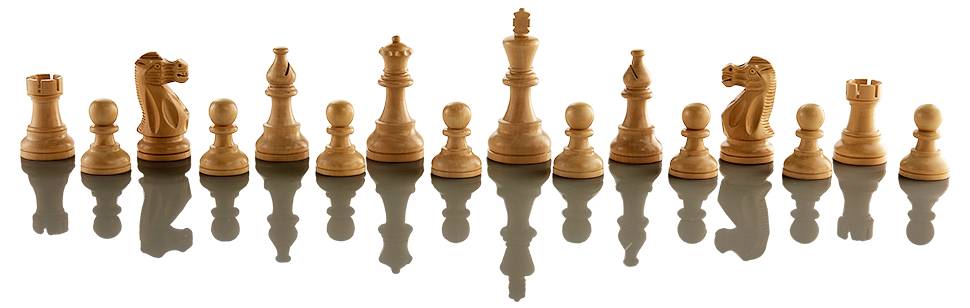 Millennium Supreme Tournament 55 eBoard Schachcomputer