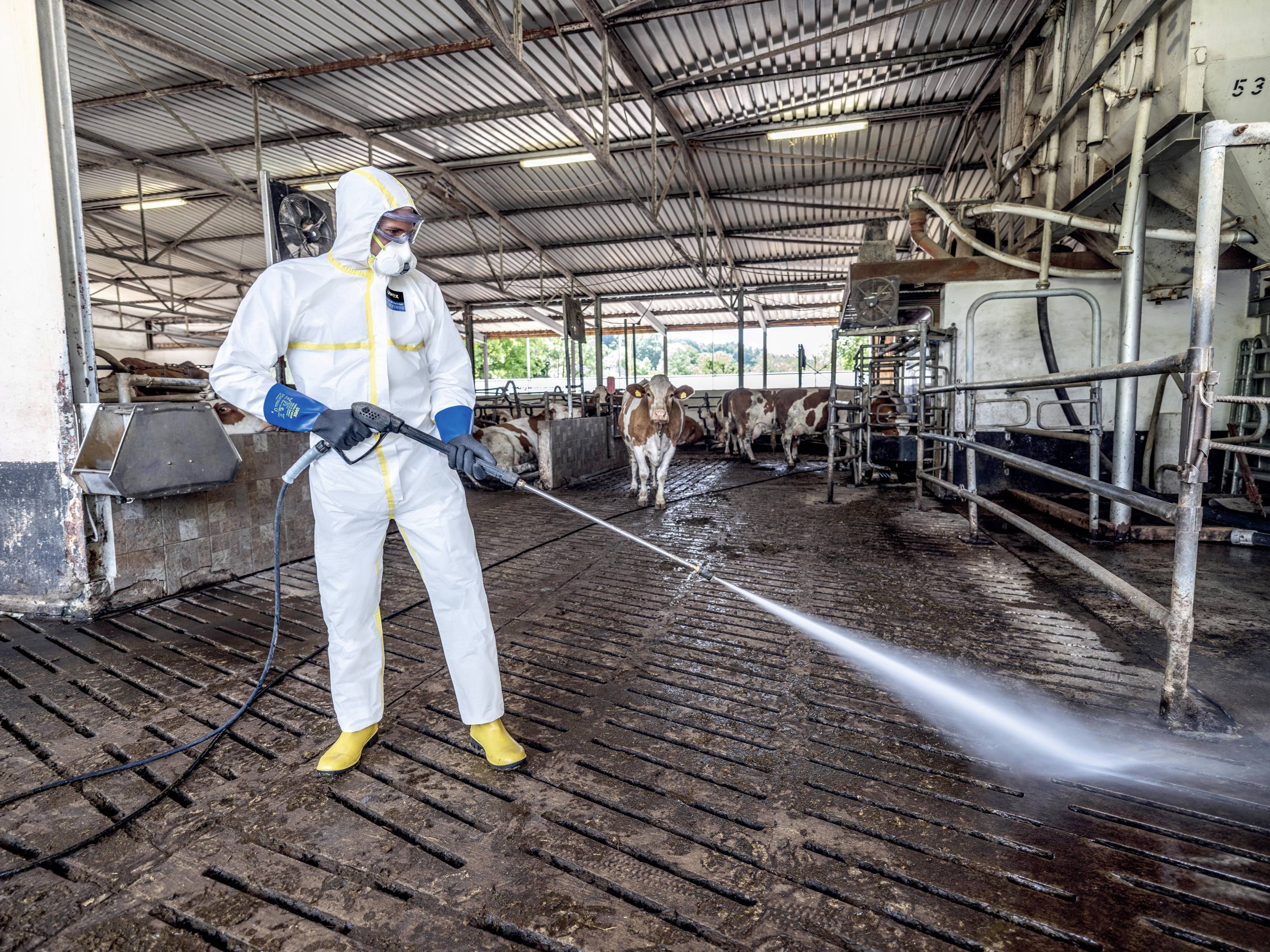 Uvex 6055708 rubiflex S XG35B Chemiekalienhandschuh Größe (Handschuhe): 8 1 Paar