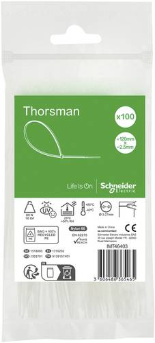 Schneider Electric IMT46403 Kabelbinder 100 St.