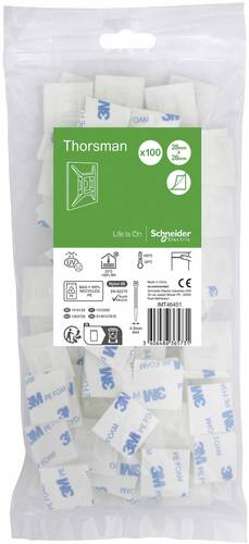 Selbstklebender Sockel fuer Kabelbinder max. 4,8mm Breite VPE: 100 Stück klar Farblos Schneider Electric Inhalt: 100 St.