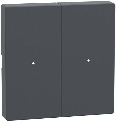 Schneider Electric MTN625214 SPS-Zubehör