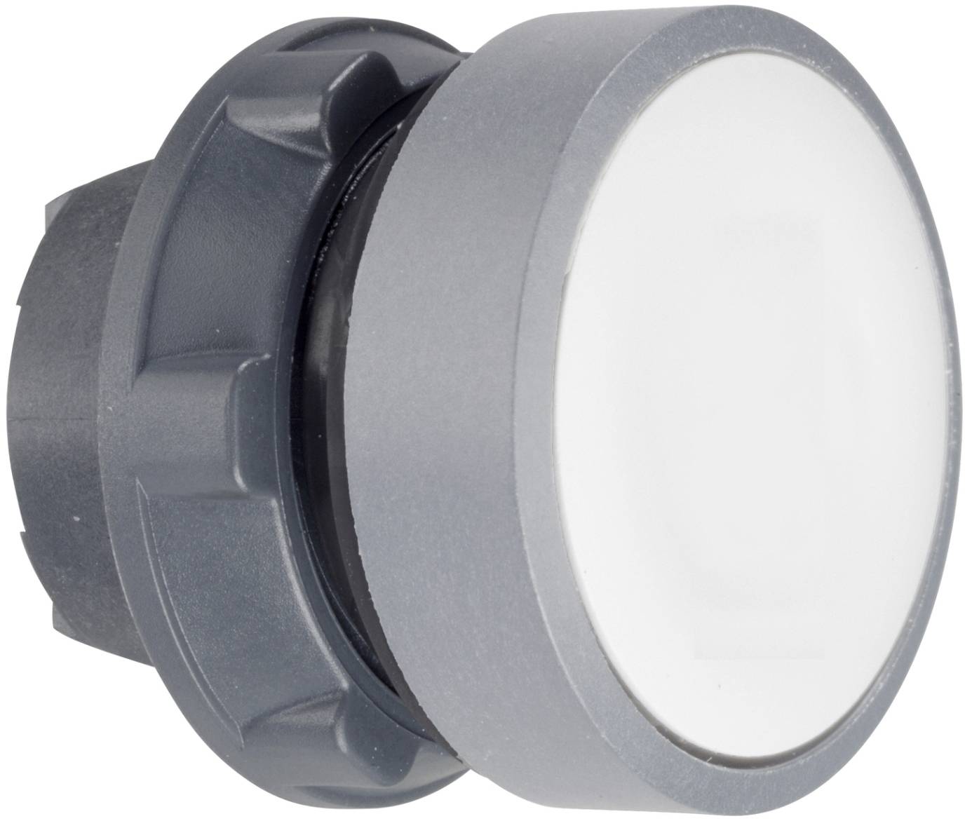 Schneider Electric ZB5AACUST02 Drucktaster-Frontelement 1St.