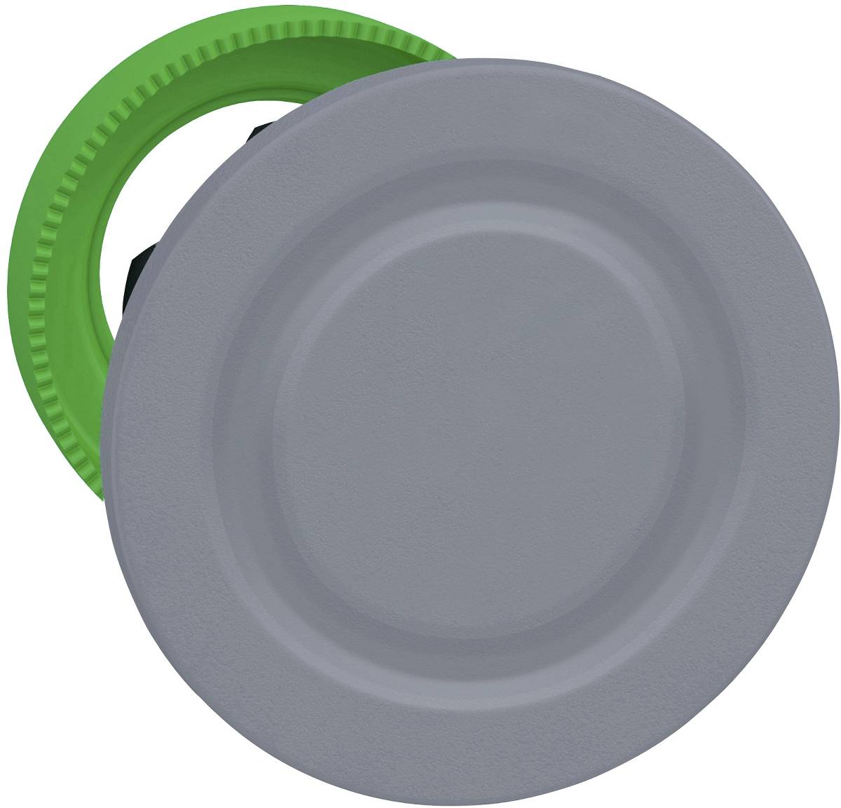 Schneider Electric ZB5FSCUST01 Blindverschluss 1St.