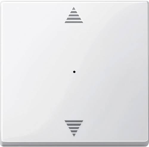 Schneider Electric MTN619419 SPS-Zubehör