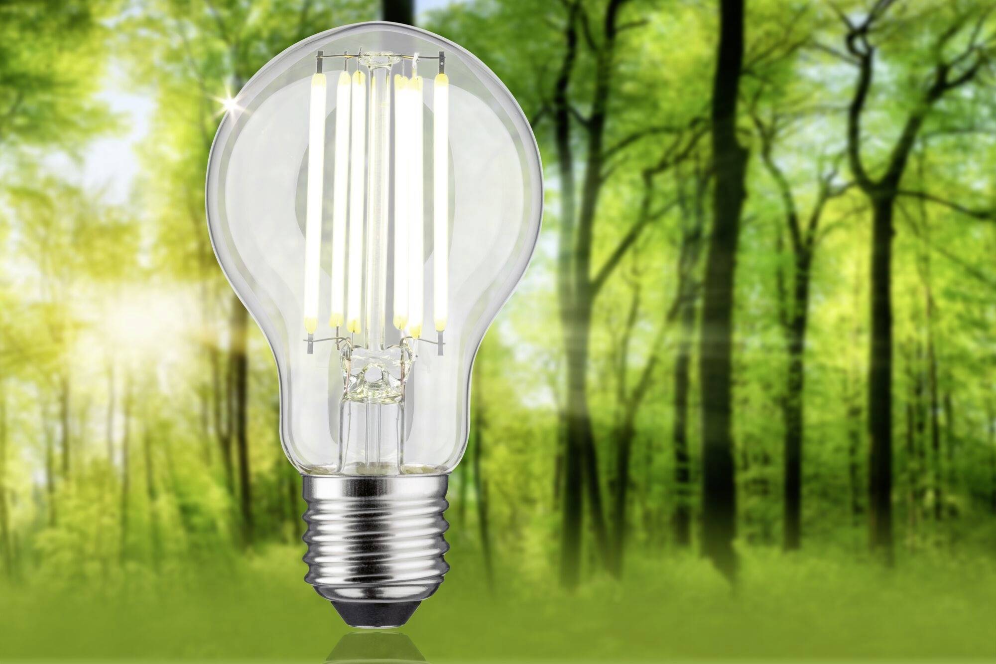 Paulmann 29221 LED EEK A (A - G) E27 5W Neutralweiß (Ø x H) 60mm x 106mm 1St.