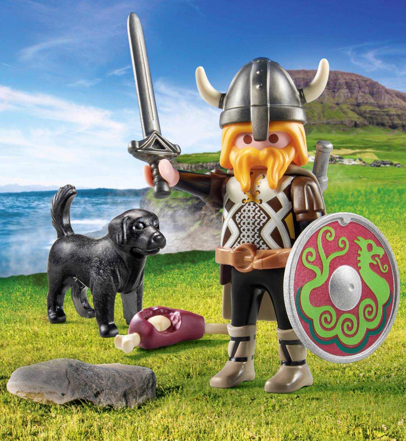 Playmobil® specialPLUS Wikinger mit Wachhund 71755
