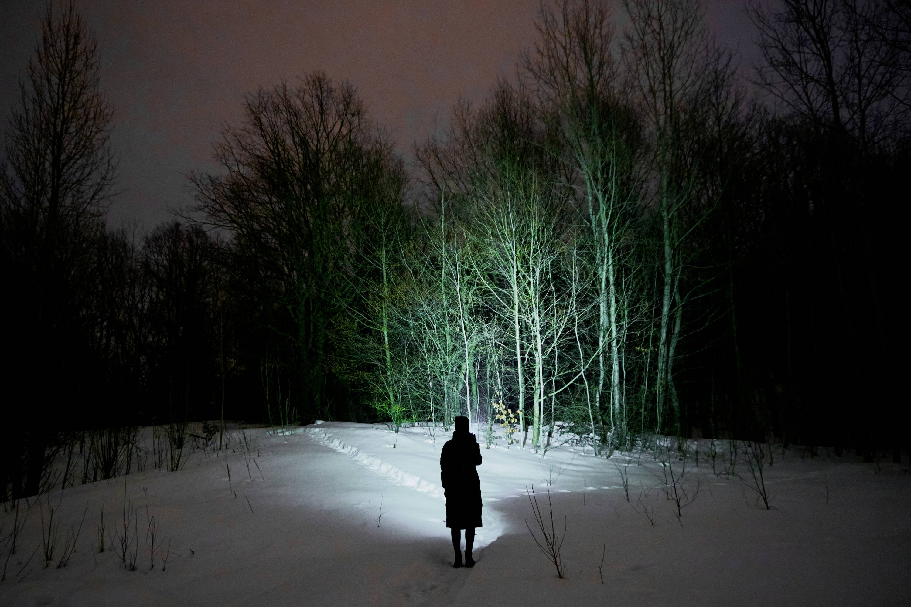 Eine Person steht nachts im Schnee, beleuchtet von einer Taschenlampe, die Bäume vor ihr erhellt. Dunkler Himmel im Hintergrund.