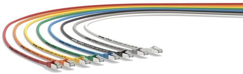 LAPP 24441423 RJ45 Patchkabel CAT 6a 1 m 1 St.