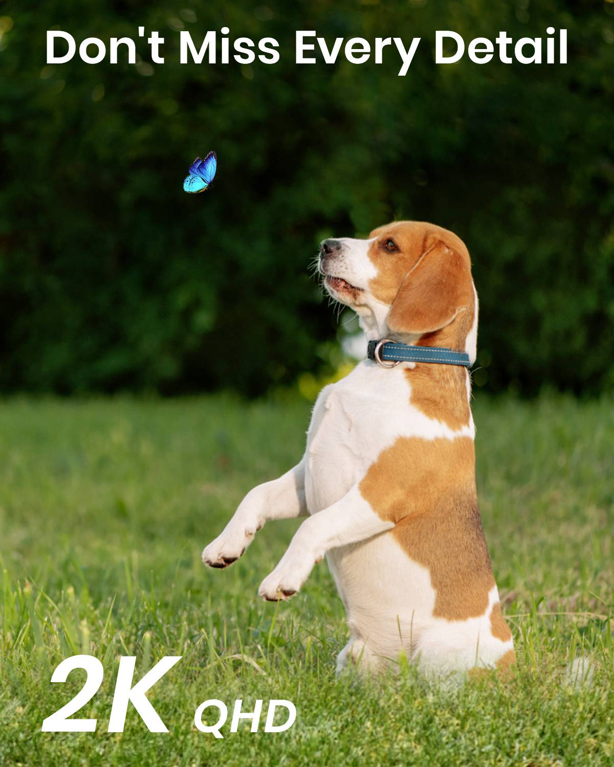 Aosu C7L AOS-C7L2.WAEU01000 WLAN IP Überwachungskamera 2304 x 1296 Pixel