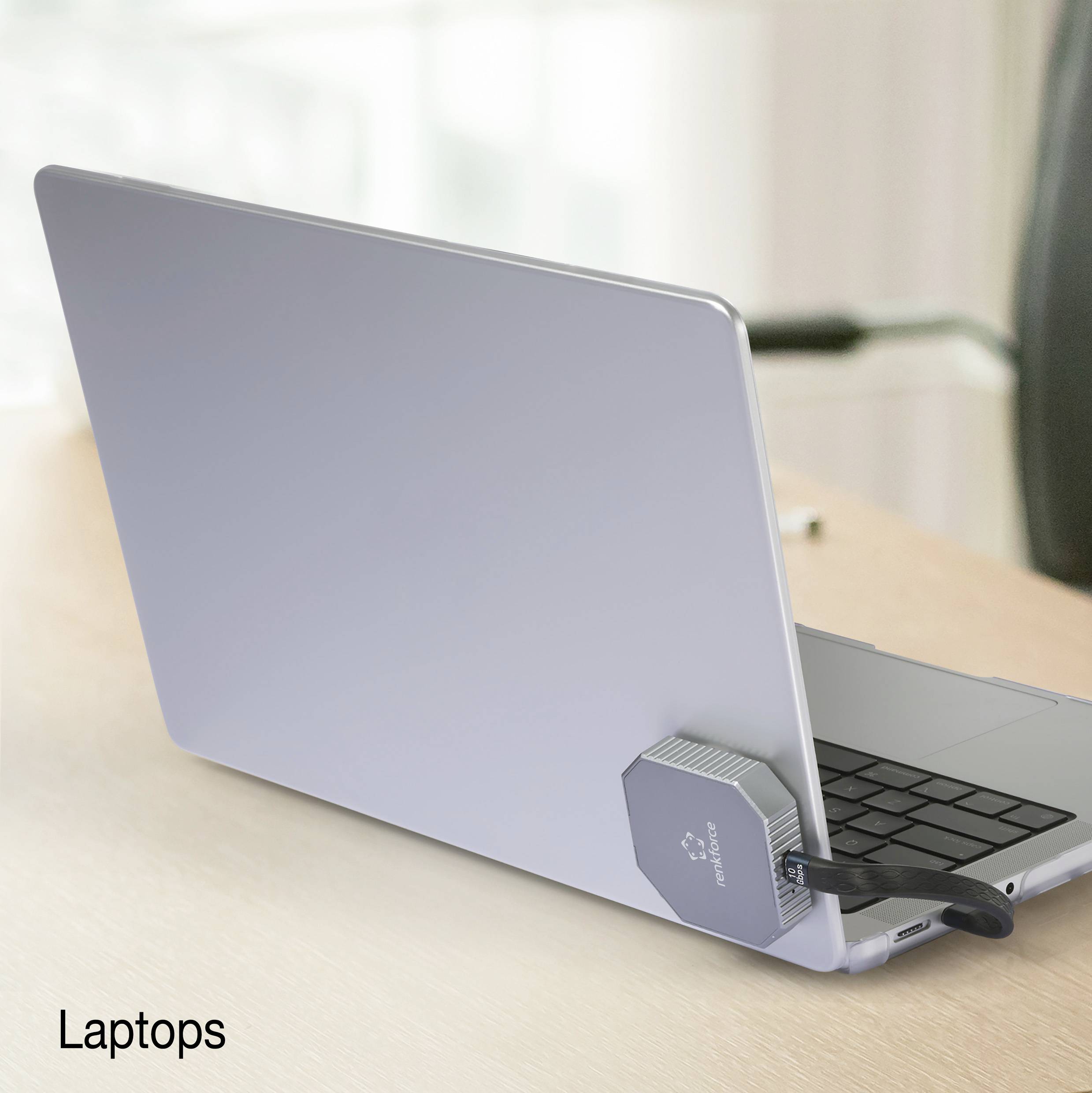 Renkforce RF-M2E-200 M.2-Festplatten-Gehäuse USB-C®, M.2 SATA, M.2 PCIe NVMe M.2 PCIe NVMe, M.2 SATA 6 Gb/s 2230 RF-6694572