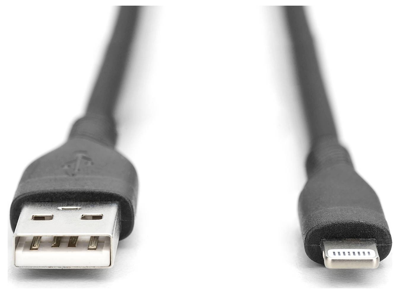 Ein schwarzes USB-zu-Lightning-Kabel, links USB-Stecker, rechts Lightning-Stecker. Beide Enden sind auf weißem Hintergrund sichtbar.