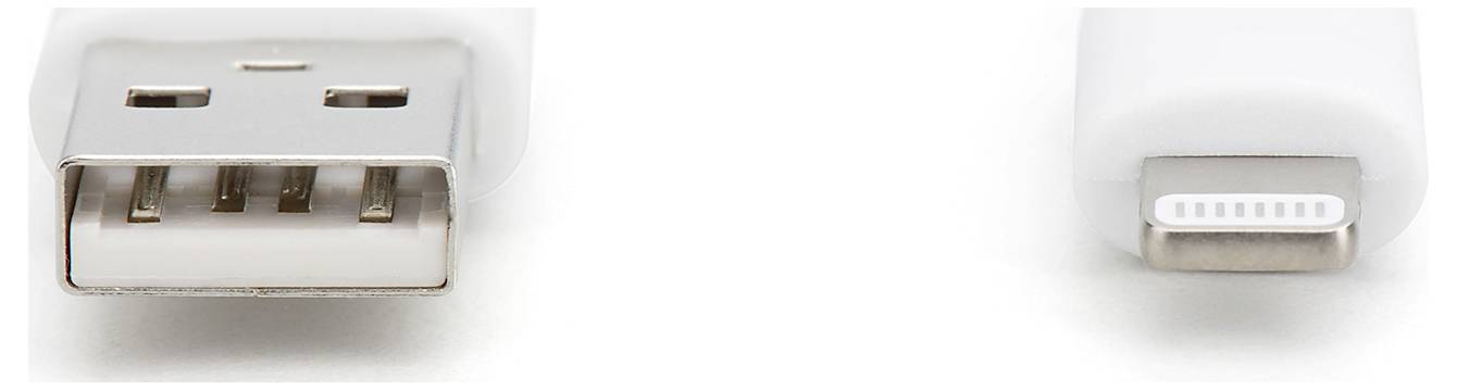 Zwei Anschlüsse werden gezeigt: Links ein USB-Anschluss und rechts ein Lightning-Anschluss für elektronische Geräte.