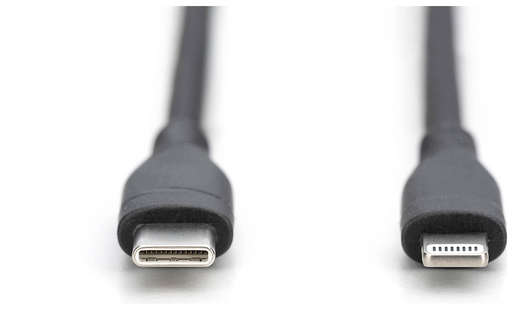 Zwei Ladekabelstecker, links USB-C und rechts Lightning, nebeneinander auf weißem Hintergrund.
