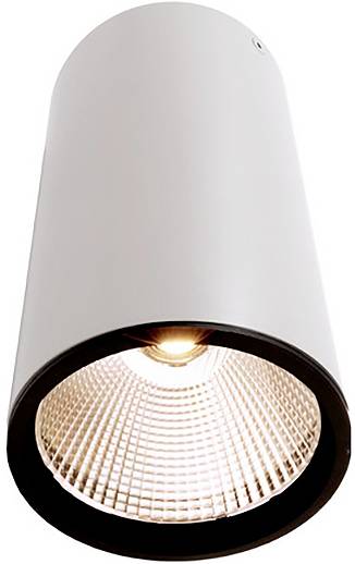 Deko Light 348063 Luna Deckenaufbauleuchte LED EEK: G (A - G) 40.2W Weiß